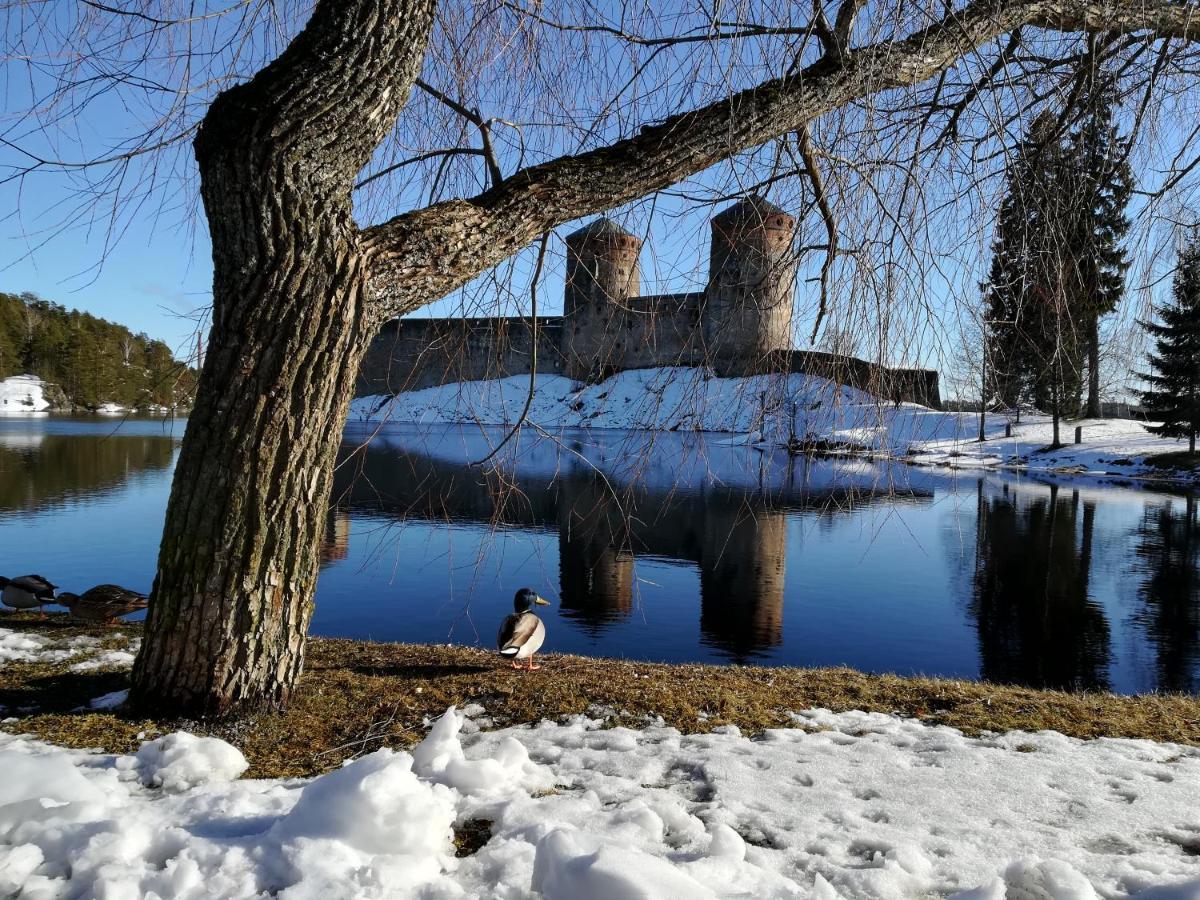 Savonlinna Rentals Kültér fotó